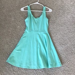 Express Skater Dress